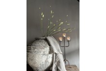 Burnet Spray groen